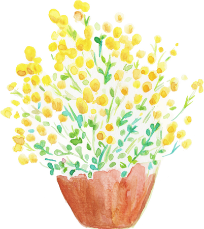 Watercolor Desert Flame Chrysocephalum Apiculatum Australian Native Flower